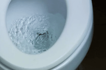 Toilet Flush & Cistern Repair