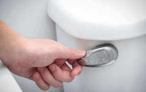 Toilet Bowl Replacement